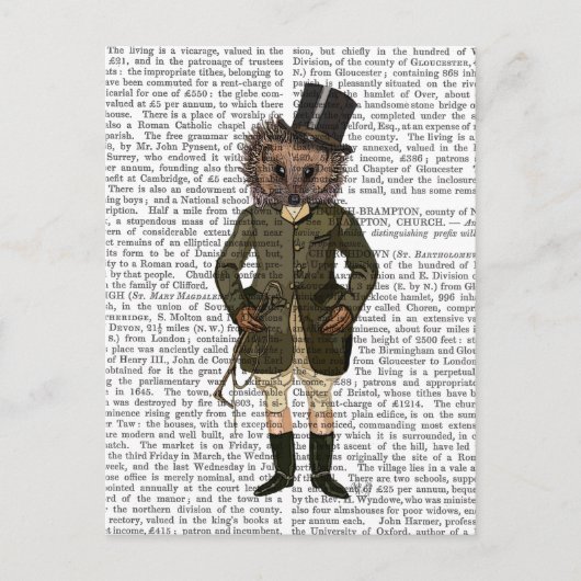 ヘッジホッグライダーフル ポストカード (正面)