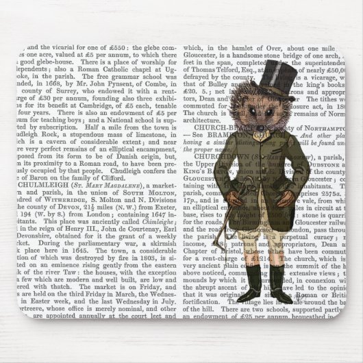 ヘッジホッグライダーフル マウスパッド (正面)