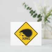 ヘッジホッグ交差点ハイウェイ標識 ポストカード (スタンド正面)