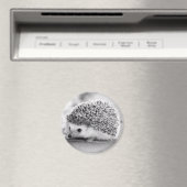 ヘッジホッグ磁石 マグネット (インサイチュ (食洗機))