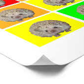 ヘッジホッグ虹 ポスター (角)