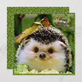 ヘッジホッグ誕生日カード サンキューカード (正面/裏面)