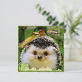 ヘッジホッグ誕生日カード サンキューカード (スタンド正面)