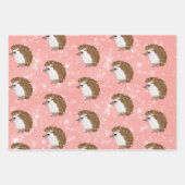 ヘッジホッファンキーグ包装紙 ラッピングペーパーシート (正面3)