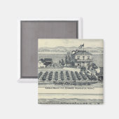 ヘッジローヴィンヤード，フレスノ マグネット (正面/裏面)