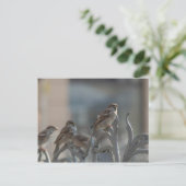 ヘッツェン ポストカード (スタンド正面)