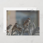 ヘッツェン ポストカード (正面/裏面)