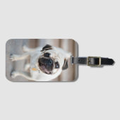 ヘッドのティルトを押す ラゲッジタグ (正面横)