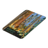 ヘッドウォーターズフォレスト保護区 マグネット (左側)