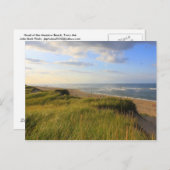 ヘッドオブザメドウビーチトロロケープコッド ポストカード (正面/裏面)