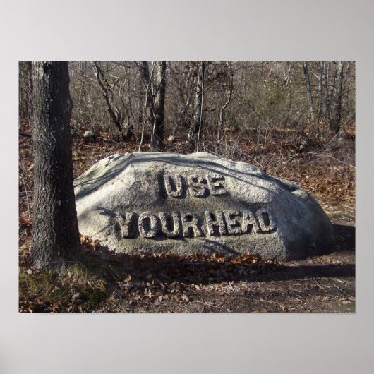 ヘッドバブソン大きい石 ポスター (正面)