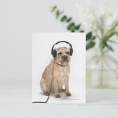 ヘッドフォンを着た小型犬 ポストカード (スタンド正面)
