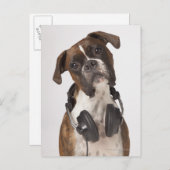 ヘッドフォン付きボクサー犬 ポストカード (正面/裏面)