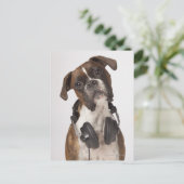 ヘッドフォン付きボクサー犬 ポストカード (スタンド正面)