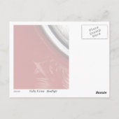 ヘッドライト ポストカード (裏面)