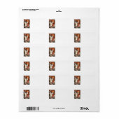 ヘッドレスホースマンハロウィーンのカボチャのちょうちんブラックキャット ラベル (フルシート)