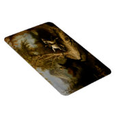 ヘッドレスホースマン、スリーピーホロー&イカボドクレーン マグネット (右側)