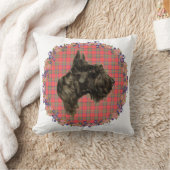 ヘッド勉強オンタータンチェック クッション (ブランケット)