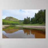 ヘッド素晴らし反射アットサンドビーチ ポスター (正面)