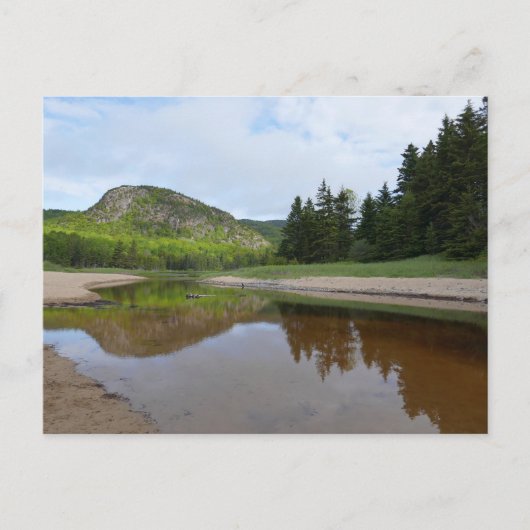 ヘッド素晴らし反射アットサンドビーチ ポストカード (正面)