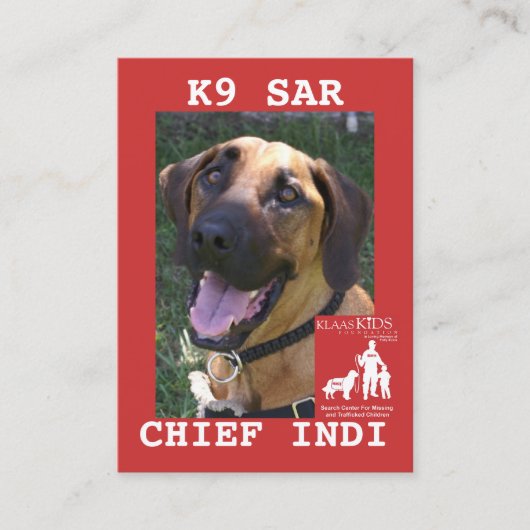 ヘッド責任者、KlassKidsの調査のチームは箱20を…残しました コーリングカード (正面)