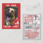 ヘッド責任者、KlassKidsの調査のチームは箱20を…残しました コーリングカード (正面/裏面)