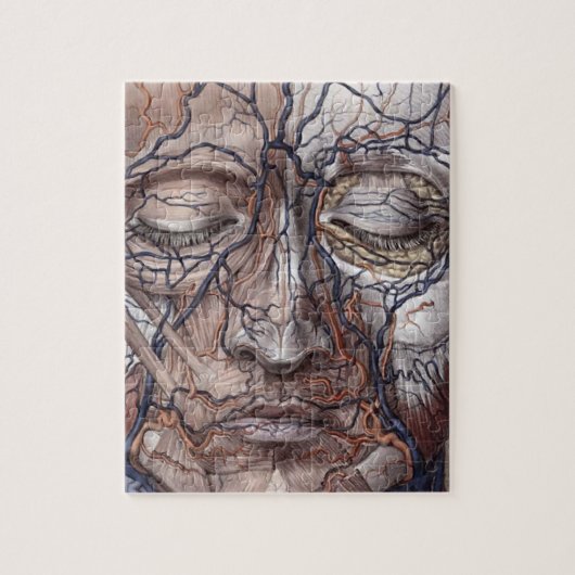 ヘッド静脈および筋肉 ジグソーパズル (縦)