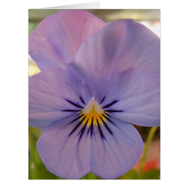 ヘツラーン (正面)