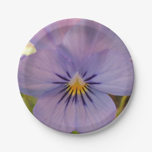 ヘツラーン ペーパープレート (正面)