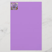 ヘツラーン 便箋 (正面)