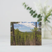 ヘディ・ドロー大目を見張るカスター州パークSD ポストカード (スタンド正面)