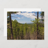 ヘディ・ドロー大目を見張るカスター州パークSD ポストカード (正面/裏面)