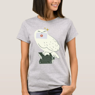 ヘドウィグと手紙の幻想的なイラスト Tシャツ