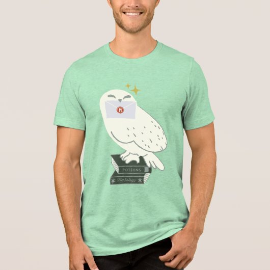 ヘドウィグの手紙のイラスト トライブレンドTシャツ (正面)