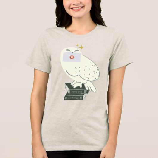 ヘドウィグへの手紙 ふんわりした絵 トライブレンドTシャツ (正面)