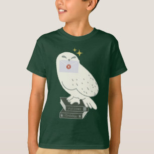 ヘドウィグへの手紙　　ふんわりした絵 Tシャツ