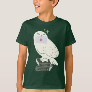 ヘドウィグへの手紙 ふんわりした絵 Tシャツ