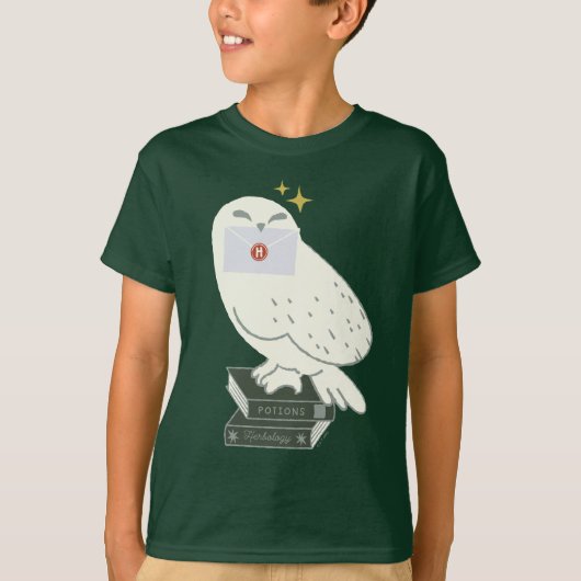 ヘドウィグへの手紙　　ふんわりした絵 Tシャツ (正面)