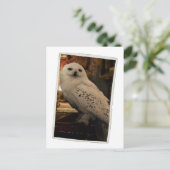 ヘドウィグ3 ポストカード (スタンド正面)