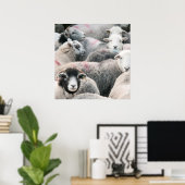 ヘドウィックの群れ ポスター (ホームオフィス)