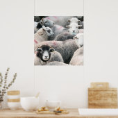 ヘドウィックの群れ ポスター (キッチン)