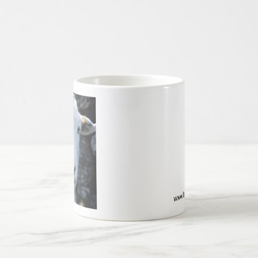 ヘドウィック・エウェ・マグ コーヒーマグカップ (中央)