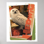 ヘドヴィヒ1 ポスター (正面)