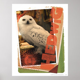 ヘドヴィヒ1 ポスター