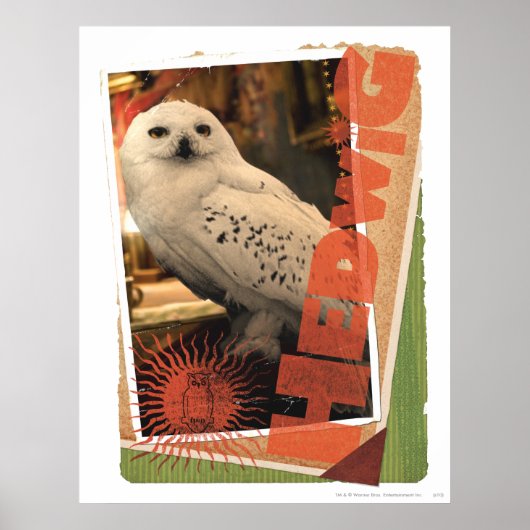 ヘドヴィヒ1 ポスター (正面)