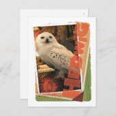 ヘドヴィヒ1 ポストカード (正面/裏面)