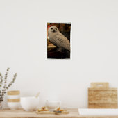 ヘドヴィヒ3 ポスター (キッチン)