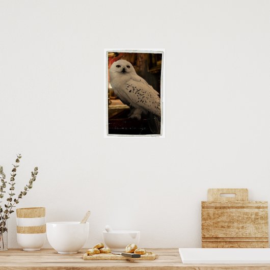 ヘドヴィヒ3 ポスター (キッチン)