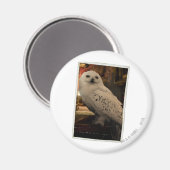 ヘドヴィヒ3 マグネット (正面/裏面)