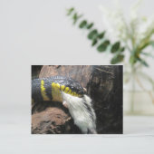 ヘビとマウス ポストカード (スタンド正面)